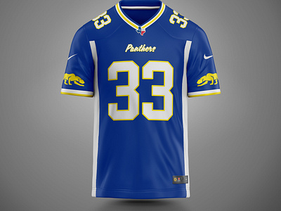 Dillon Panthers | Football Jersey Concept