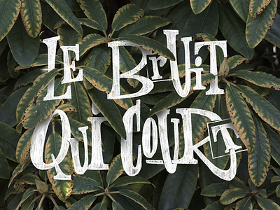 LE BRUIT QUI COURT brand brand design brand identity branding branding design calligraphy calligraphy and lettering artist calligraphy artist design graphic graphic design graphicdesign graphics plants type typeface typo typographic typography typography art