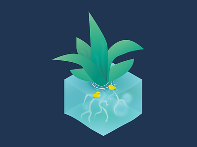 Plant design digital duck flow illustration isometric plant succulent ui water