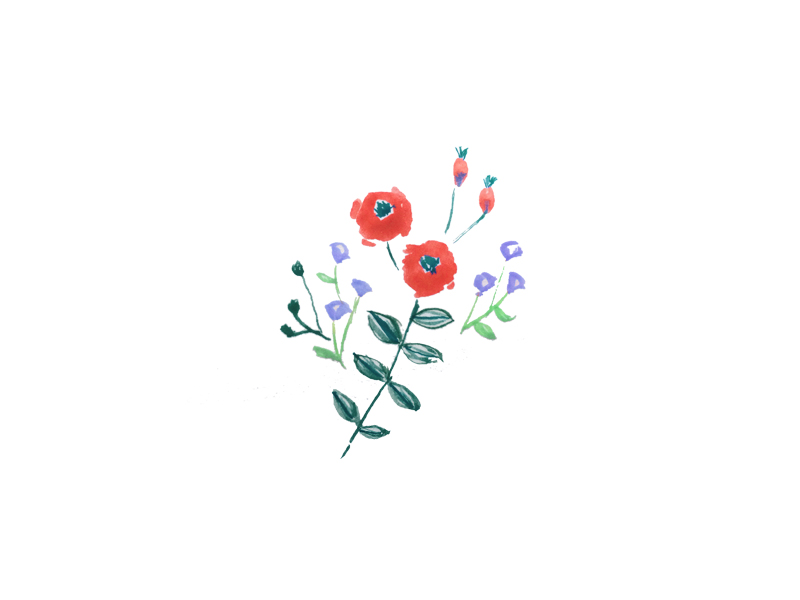 Poppy by Joanna Ngai on Dribbble