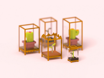 Terrarium 3d cactus illustration plant sprouts terrarium voxel