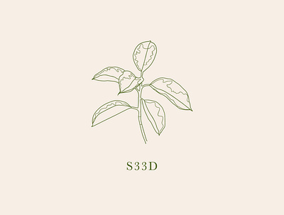 S33D Main Logo branding design icon illustration illustrator logo minimal neutral outline plant sustainable type typography