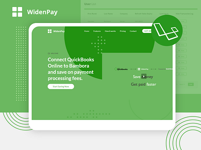 WidenPay colors custom design design developer graphic graphic design uiux webdesign website