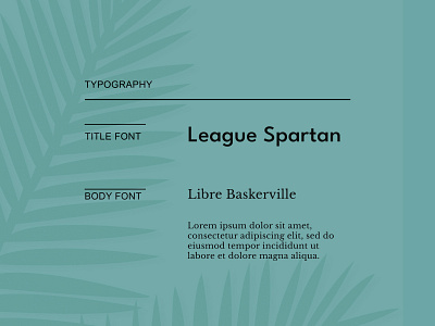 Fonts design fonts textstyle typography
