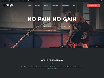 GYM USA Website Fitness Website Sports Website beauty website divi customization divi expert duplicate website elementor expert elementor template fashion website fitness website graphic design gym landing page gym website spa website web design wordpress help wordpress template workout website yoga website