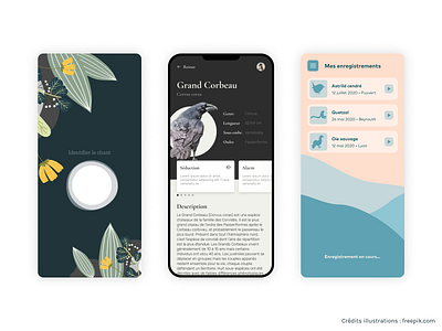 Birdsong identification app concepts app bird illustration birds concept design design mobile moodboard ui uidesign