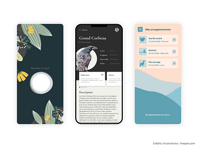Birdsong identification app concepts
