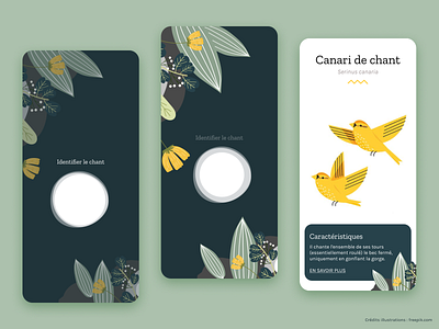Birdsong identification app app bird illustration birds branding concept design illustration mobile moodboard ui