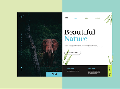 Web Layout For Wildlife branding clean clean ui design elegant elephant minimal nature photography photoshop ui ux website xd design