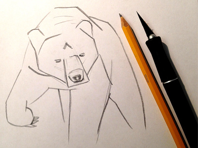 Bear Illo WIP bear drawing illustration pencil process wip