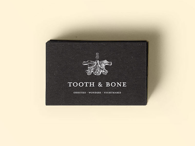 Tooth & Bone anatomy blog bone brand branding curiosities identity logo logotype museum oddities tooth