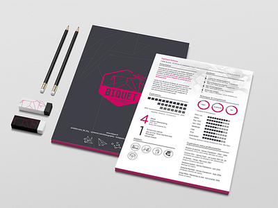 curriculum vitae curriculum cv datavisualisation flatdesign logo print vitae