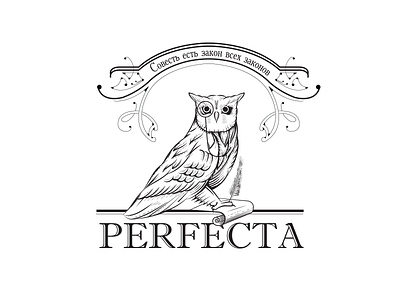 Logo design grafic logo owl