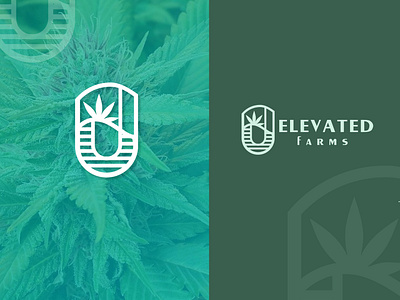 branding for cannabis brand (brand mood,etc)