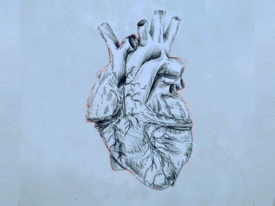 Hearting anatomy animated animation cd draw drawing gif heart illustration wtf