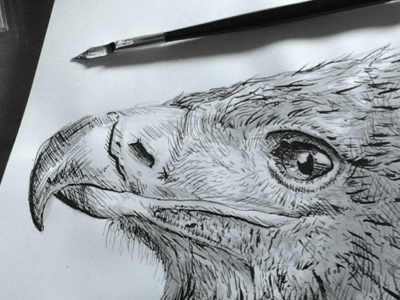 Inking The Eagle