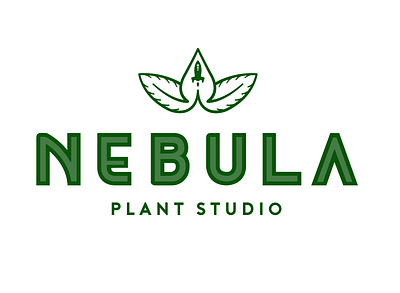 Nebula branding branding and identity branding design design green logo logodesign plants space typography