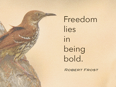 ‘Freedom Lies in Being Bold’ bold brown thrasher freedom quote robert frost