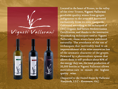 Vignetti Vallorani Wine italian label poster vignetti vineyard wine
