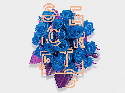 3D Secrets 3d 3d art 3d logo art flowers graphic design graphic design logo graphic designing pastel