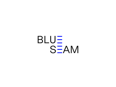 Blue Seam Wordmark branding graphic design logo visual identity wordmark