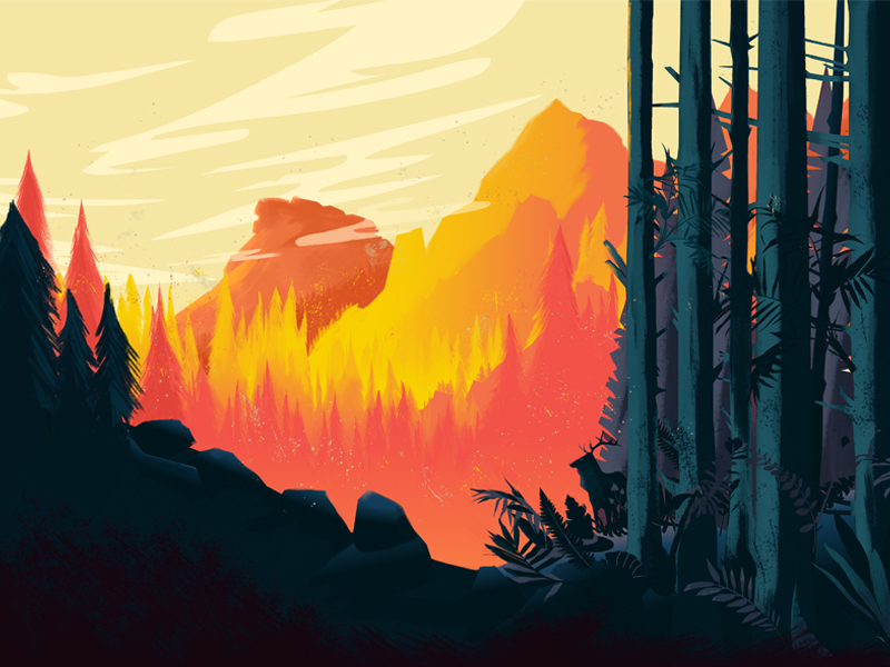 Wildfire by Hom Ho on Dribbble