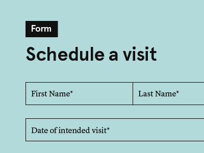 Form fields field form form field input