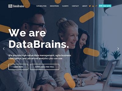 DataBrains Website
