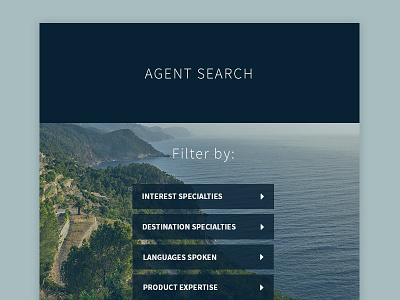 Agent Search Page button filter search travel