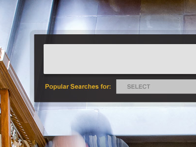 Search Box input field search search box