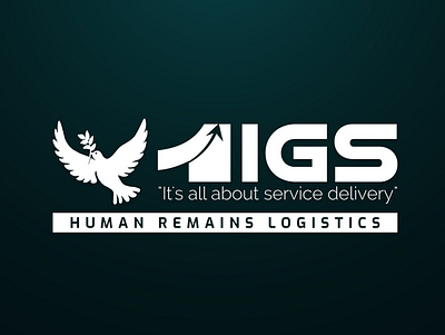 1IGS: It's all about service delivery!! graphic design logo ui