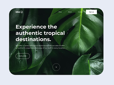 Micro - A travel agency design ui