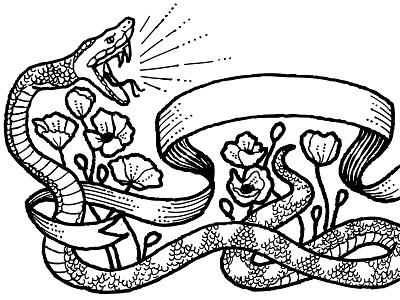 Snake Poppies and Banner Illustration banner hand drawn hoodzpah illustration ink pen poppies poppy snake