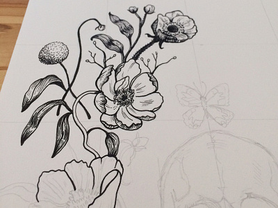 Memento Mori Sketch botany flower illustration peony poppy sketch skull
