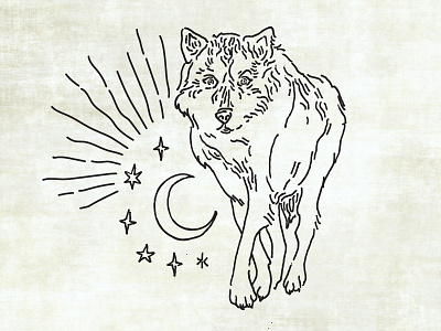 Wolf Illustration dog hand drawn illustration monoline moon native american occult sky stars wolf