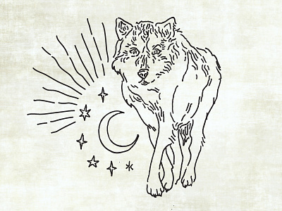 Wolf Illustration