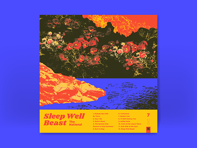 10x17: 7. The National - Sleep Well Beast album art bitmap field flowers halftone negative rain shore water