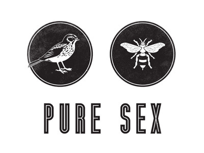 Detail of "Pure Sex" Book Cover bee bees bird birds graphic illustration inline sex vintage