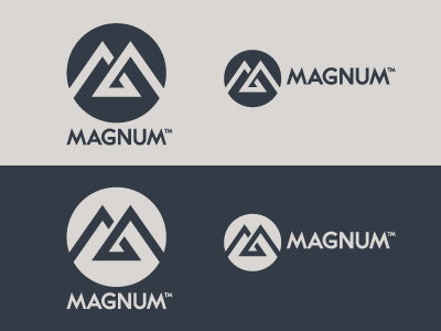 Magnum identity logo motor