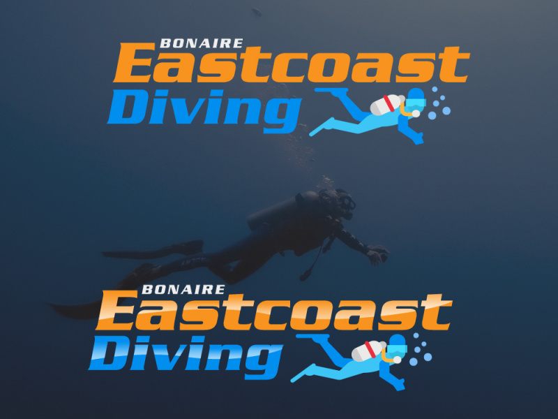 Scuba Diving Logo designs, themes, templates and downloadable graphic elements on Dribbble