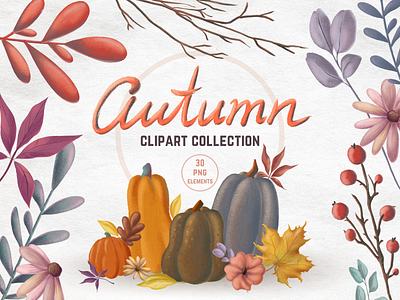 Autumn Clipart Collection autumn book illustration card cartoon clipart collection cozy design fall flowers hand drawn illustrator leaves png pumpkins twigs