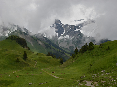 Alpine Meadow Oil Painting alp alpine alps high pasture mixedmedia pasture swiss switzerland