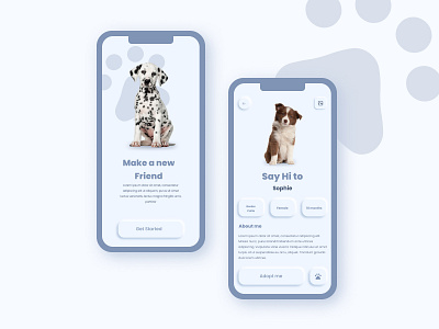 Pet adoption App 3d animation graphic design ui