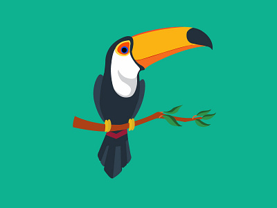 Toucan