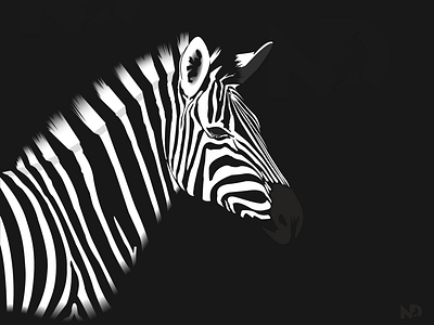 Zebra illustration animal black and white dribbble illustration illustrator minimal silhouette vector zebra