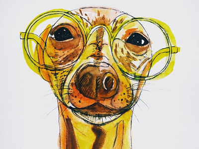 Iggy dog illustration illustration portrait illustration