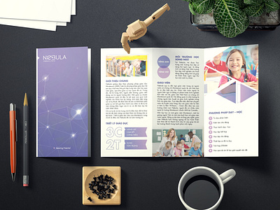 Nebula Brand Identity Design