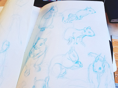 Squirrel Feburary animal drawing pencil process sketch sketchbook sketches squirrel