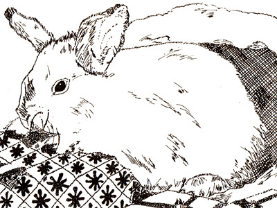 A Merry Rabbit art black doddle drawing fine art ink pen rabbit sitch sketch white