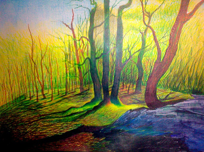 Forest in Koblenz illustration